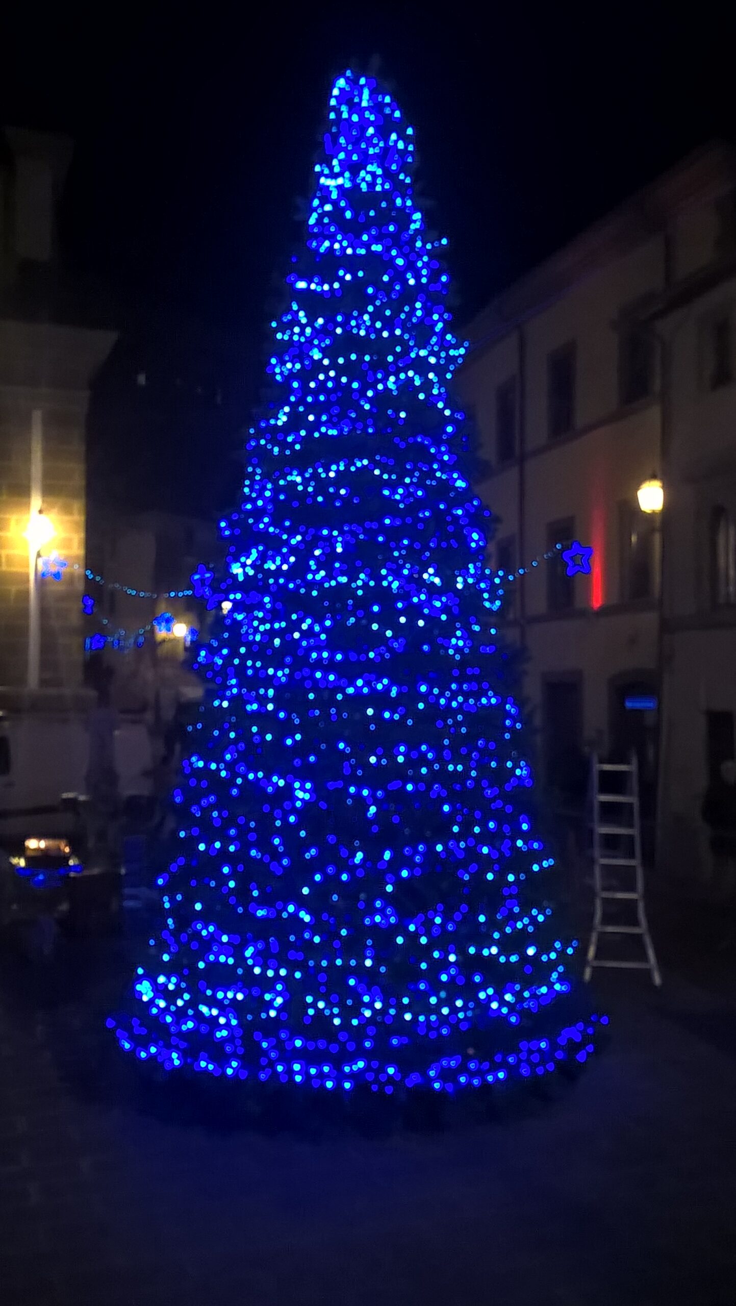 Al momento stai visualizzando ASSO: LE ASSOCIAZIONI LITIGANO PRO ASSO CERCA CLIMA DISTENSIVO