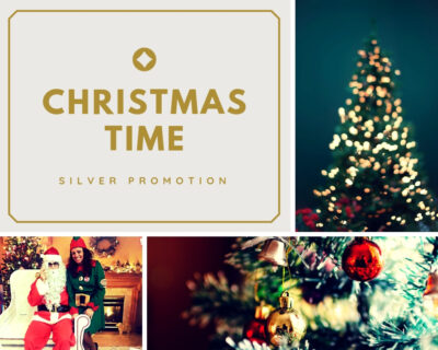 Scopri di più sull'articolo NOLEGGIO ALBERI DI NATALE: ARRIVA IL NATALE