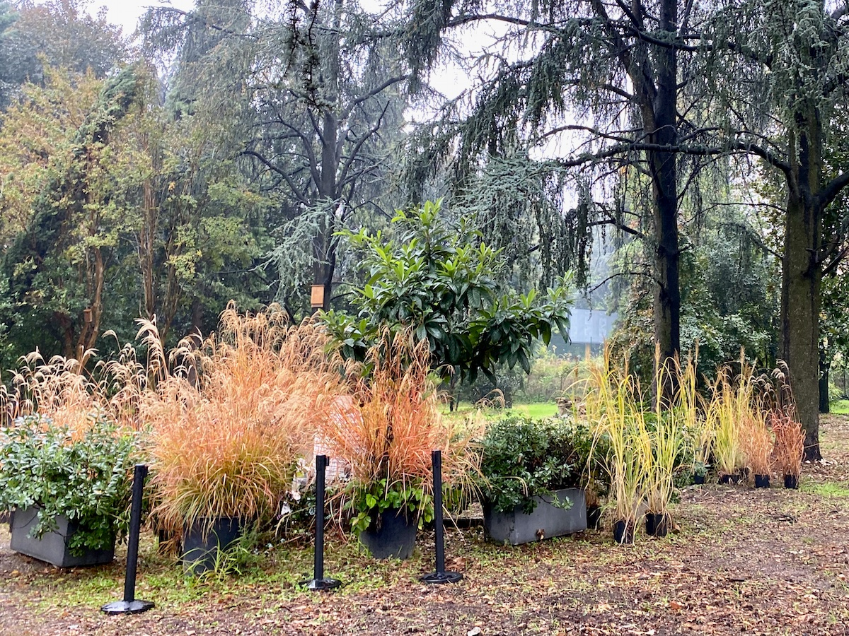 Scopri di più sull'articolo MILANO: CONTA DEI DANNI PER IL VENTO FORTE DEI GIORNI SCORSI