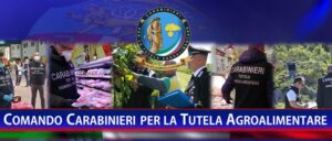 Scopri di più sull'articolo MARCHI DI TUTELA, ETICHETTATURA E RINTRACCIABILITÀ. SEQUESTRATE OLTRE 3.300 TONNELLATE DI ALIMENTI E 160.000 LITRI DI VINO