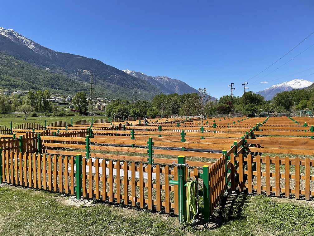 Al momento stai visualizzando Comune di Sondrio-Inaugurati gli orti sociali per le famiglie