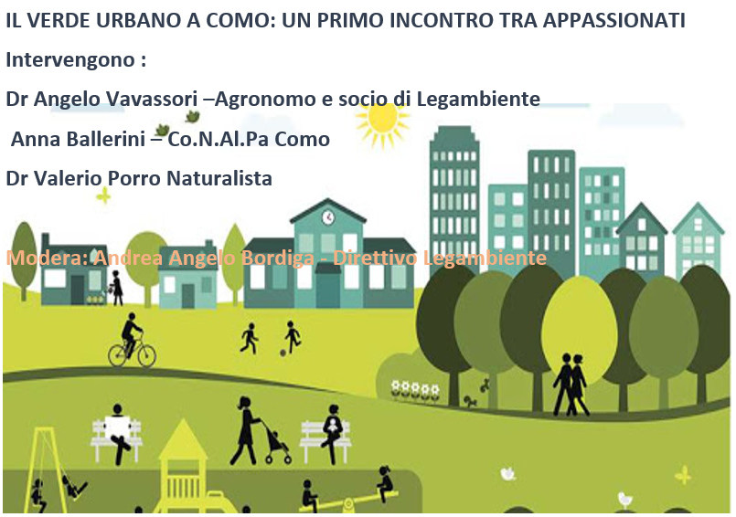 Al momento stai visualizzando Ambiente e Giustizia. Il ruolo degli alberi nelle città