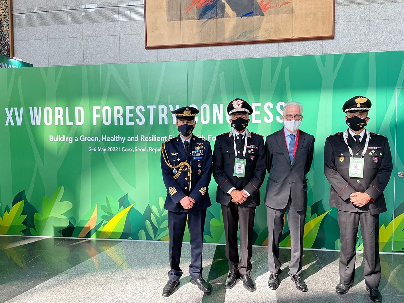 Scopri di più sull'articolo ARMA DEI CARABINIERI A SEOUL PER IL XV CONGRESSO MONDIALE SULLE FORESTE