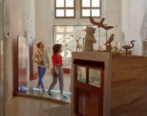 Scopri di più sull'articolo Il PNRR per l’accessibilità di musei, archivi e biblioteche e altri luoghi della cultura