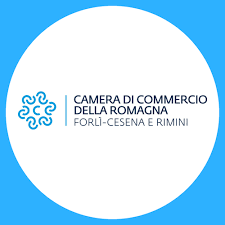 Scopri di più sull'articolo Nominati i componenti del Consiglio della Camera di Commercio della Romagna – Forlì-Cesena e Rimini