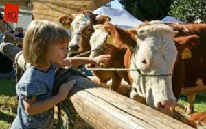 Scopri di più sull'articolo MONTANO LUCINO: FIERA SETTEMBRINA ISCRIZIONI APERTE