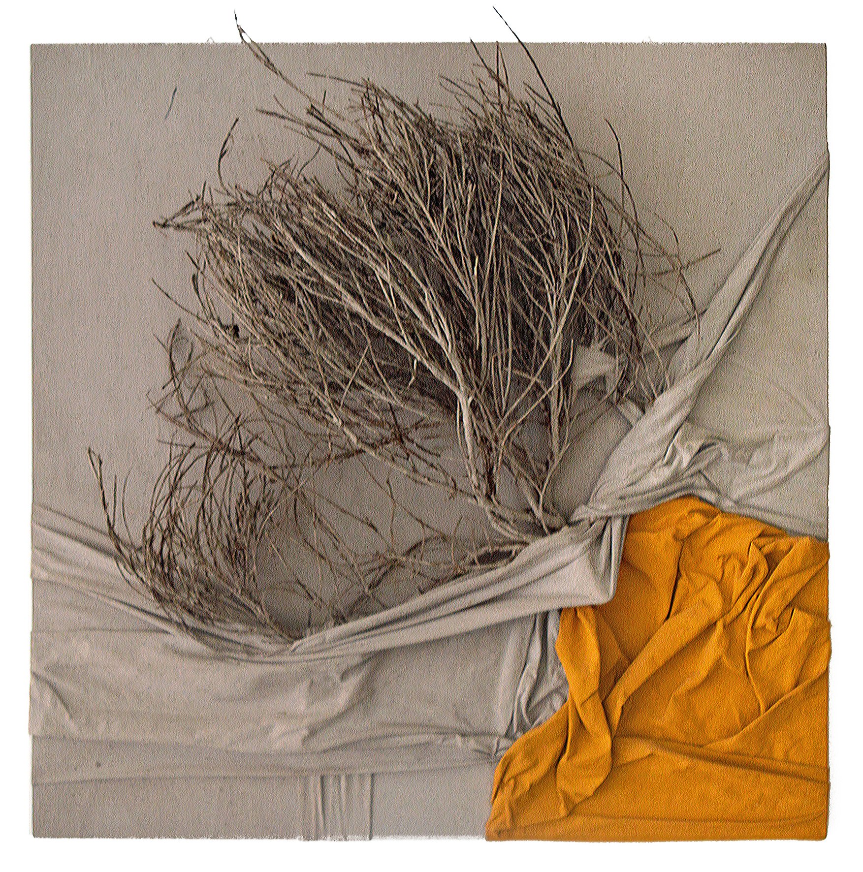 Al momento stai visualizzando SORMANO: LA CASE DI QUADRI INAUGURA LA PERSONALE DI SORMANI E PROTA