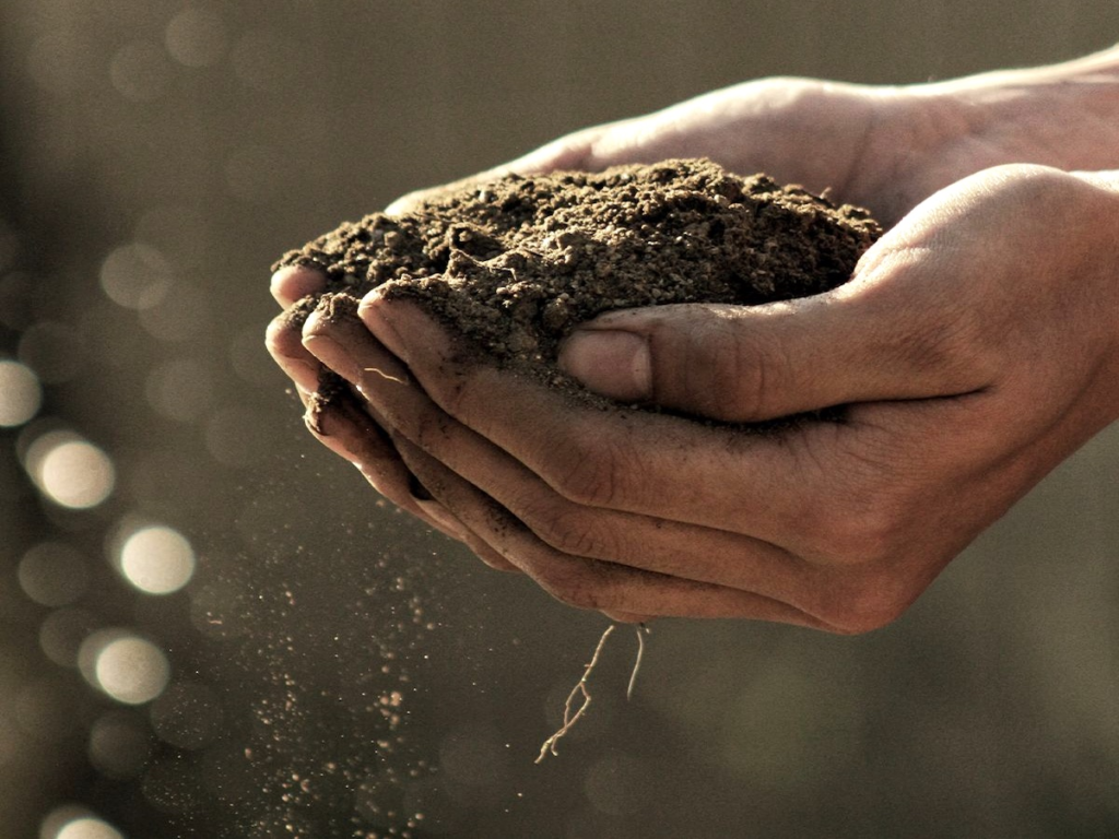 Scopri di più sull'articolo Comune e Politecnico di Milano insieme per favorire la formazione e la ricerca su cambiamento climatico e sviluppo sostenibile