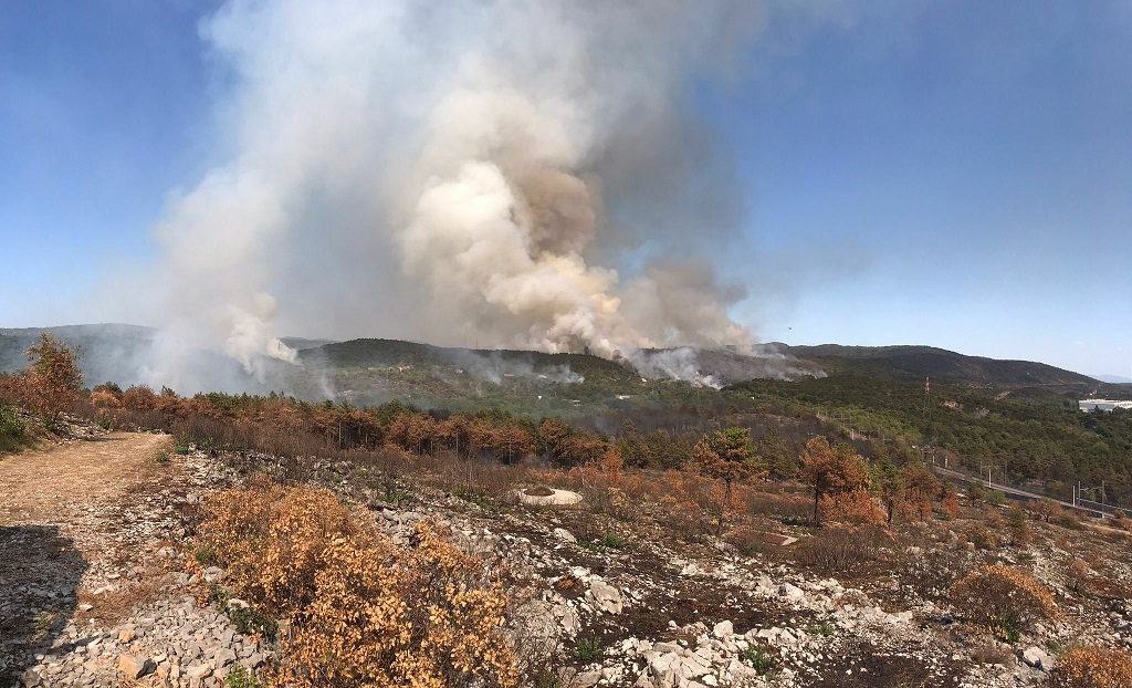 Scopri di più sull'articolo Incendio carso: Scoccimarro, pm10 sotto soglia di 50 microg/m3