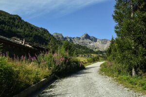 Scopri di più sull'articolo VALLE SPLUGA: GRAVEL MARATHON RINVIATA AL 2023