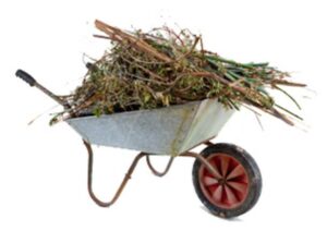 Scopri di più sull'articolo COLORINA: POSA CONTAINER PER RACCOLTA FRAZIONE VERDE – SABATO 27 AGOSTO 2022 