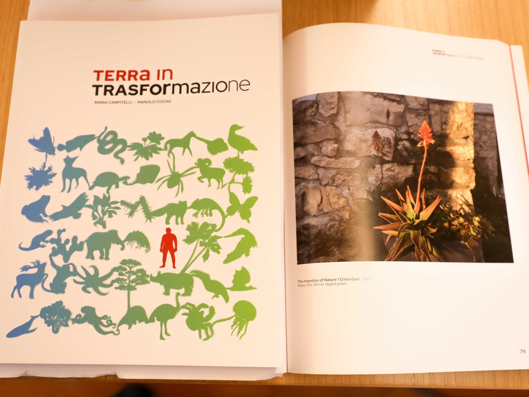 Scopri di più sull'articolo TRIESTE: Presentata a Palazzo Gopcevich “Terra in trasformazione” fusione di due mostre “Crisis Gaia” e “Aqua” 100 autori da tutto il mondo