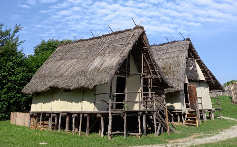 Al momento stai visualizzando MODENA: Riapertura del Parco della Terramara di Montale