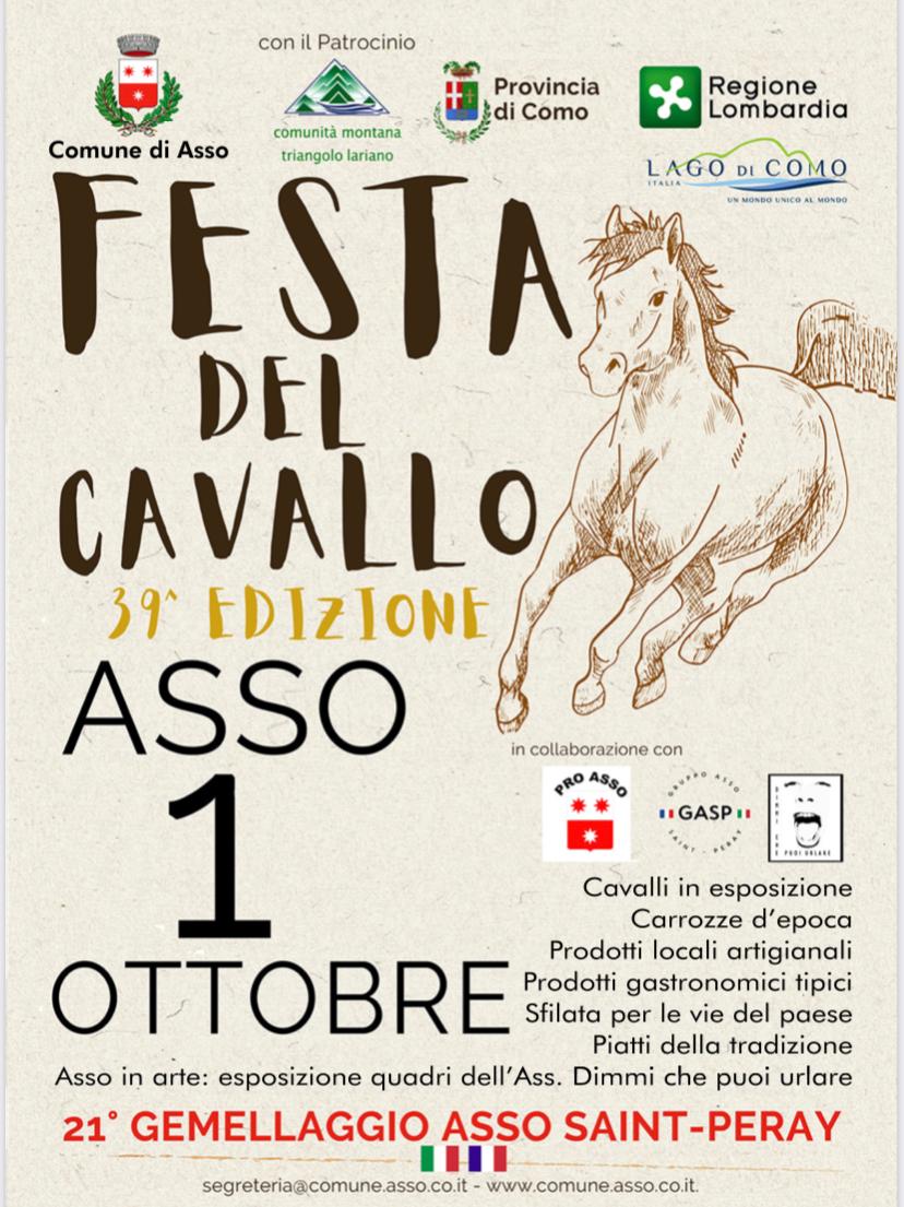 Scopri di più sull'articolo ASSO: FESTA DEL CAVALLO E DEL GEMELLAGGIO CON GLI AMICI D’OLTRALPE