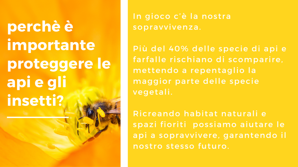 Scopri di più sull'articolo CASTELNUOVO BOZZENTE: SIAMO AMICI DELLE API