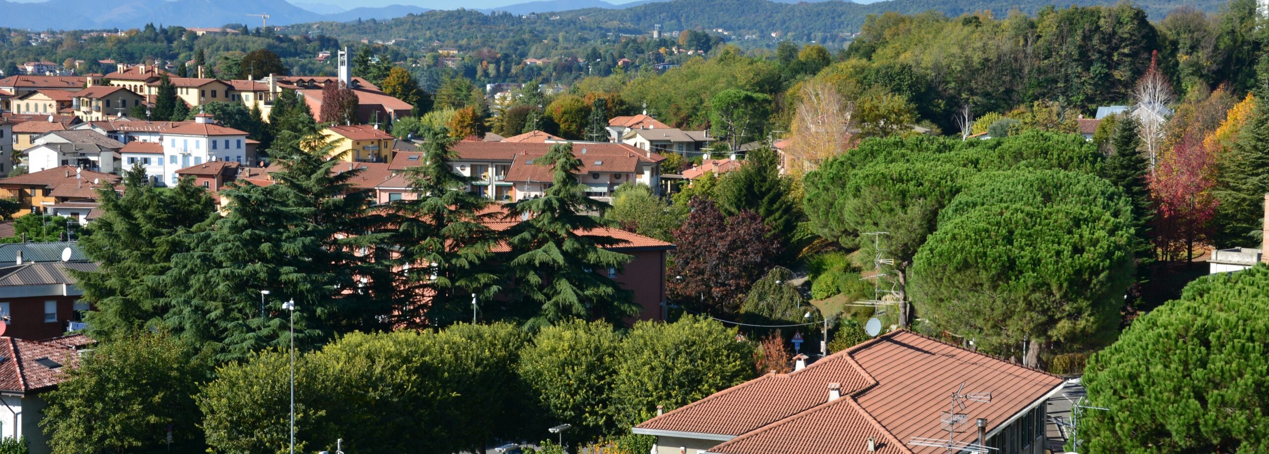 Al momento stai visualizzando GRANDATE: CONCERTO D’ORGANO