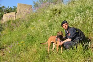 Scopri di più sull'articolo “Operazione Pettirosso”: i Carabinieri Forestali a tutela delle specie aviarie protette e degli ecosistemi delle Prealpi