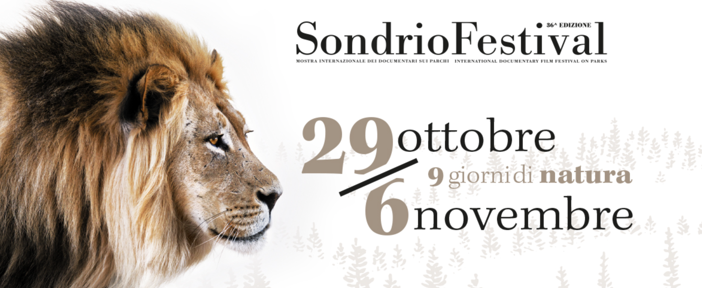 Al momento stai visualizzando Sondrio Festival, la Mostra Internazionale dei Documentari sui Parchi