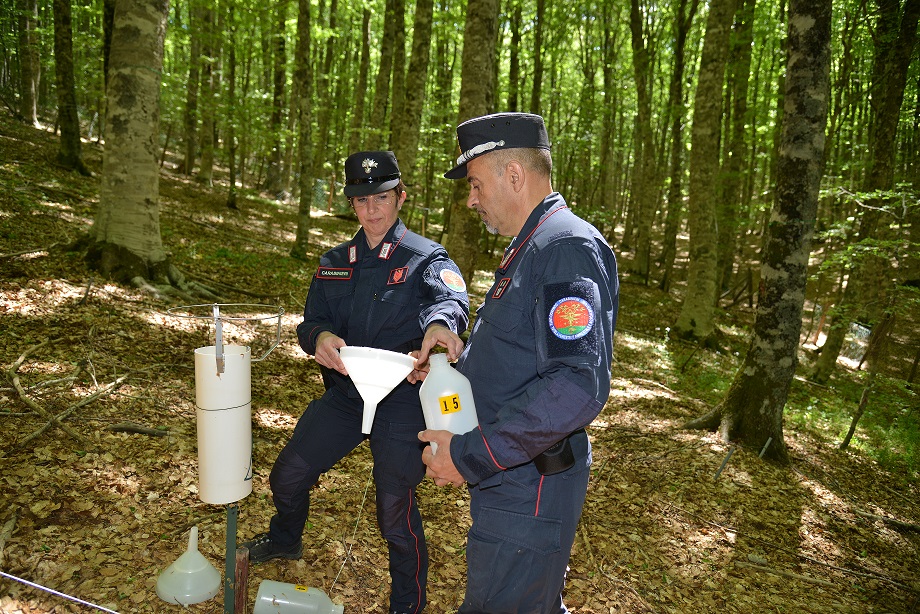 Scopri di più sull'articolo L’ARMA DEI CARABINIERI E MASSACHUSETTS INSTITUTE OF TECHNOLOGY