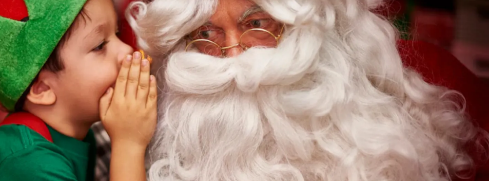 Scopri di più sull'articolo COMO: “NATALE A COMO” PRESENTATA DAL SINDACO ALESSANRO RAPINESE