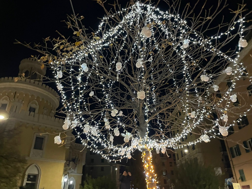 Al momento stai visualizzando NATALE, ILLUMINATI I DUE ALBERI IN MEMORIA DELLE VITTIME DEL CROLLO DI PONTE MORANDI