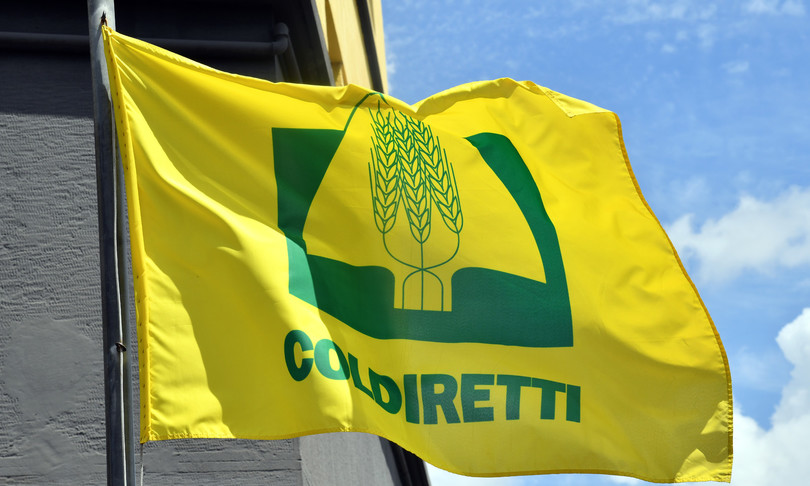Scopri di più sull'articolo INDAGINE COLDIRETTI: FARE LA SPESA IN TOSCANA COSTA DI PIU’ AI CITTADINI