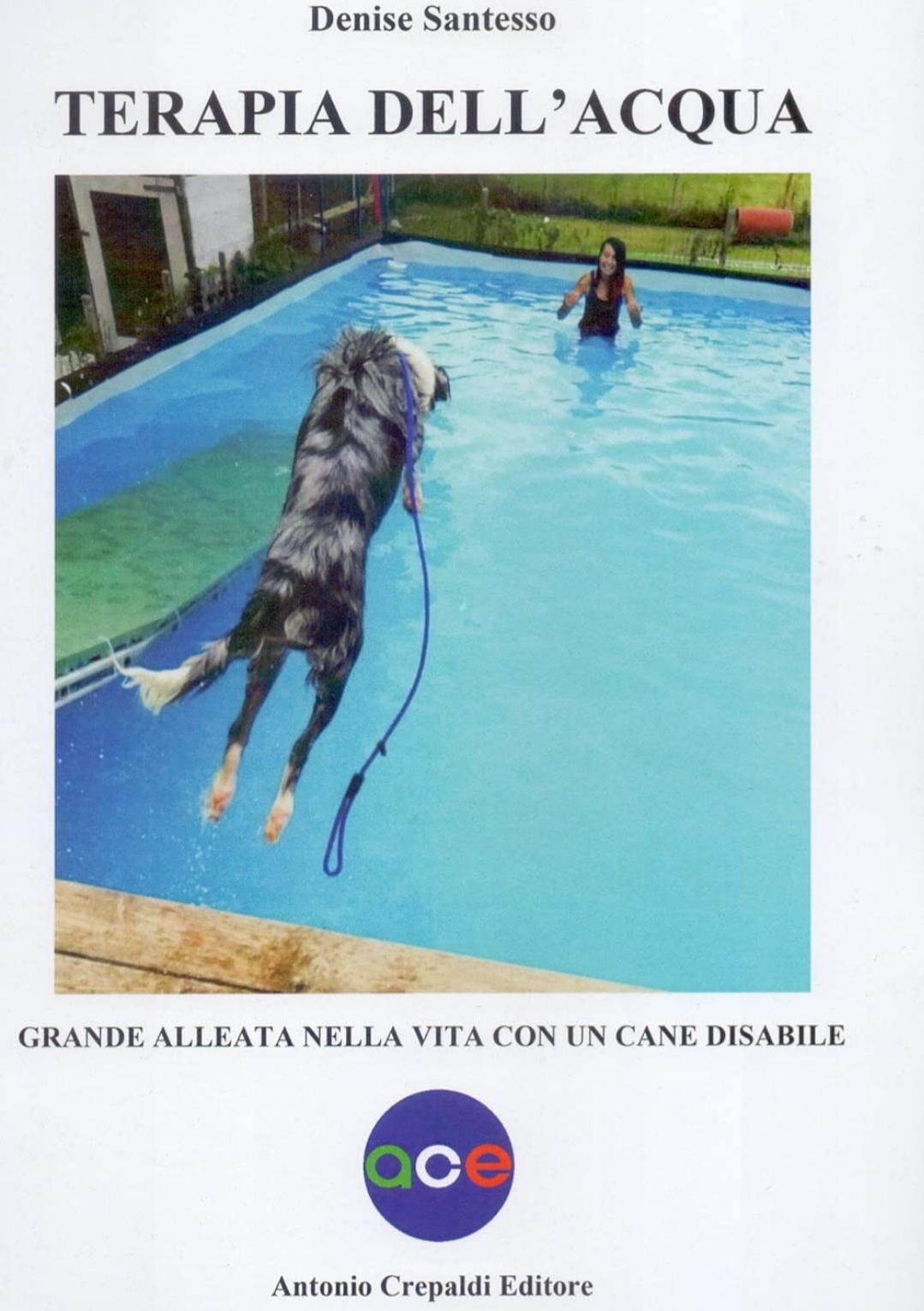 Scopri di più sull'articolo SAN DAMIANO D’ASTI: “TERAPIE DELL’ACQUA” IL LIBRO DI DENISE SANTESSO