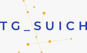 Scopri di più sull'articolo SOVICO: LE SEGNALAZIONI DEL TG SUICH “SACCO IMMONDIZIA ABBANDONATO DURANTE LA PASQUA”