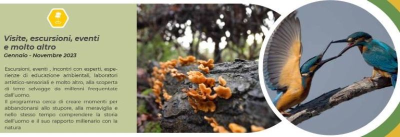 Scopri di più sull'articolo BIENTINA: AREE PROTETTE – RICCO PROGRAMMA DI EVENTI E INIZIATIVE