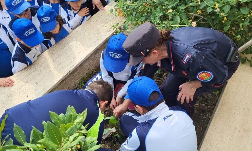 Al momento stai visualizzando I CARABINIERI CUSTODI DELLA BIODIVERSITÀ ITALIANA