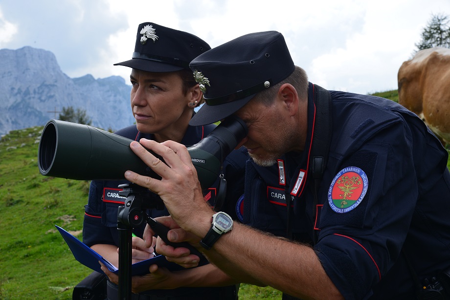 Scopri di più sull'articolo Carabinieri: Giornata Mondiale della Biodiversità CUFA