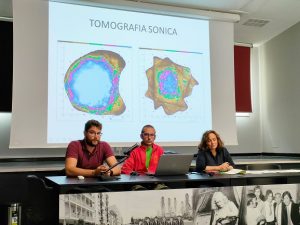 Scopri di più sull'articolo Censimento del verde di Pordenone: alcuni alberi da abbattere ma ottimo patrimonio arboreo