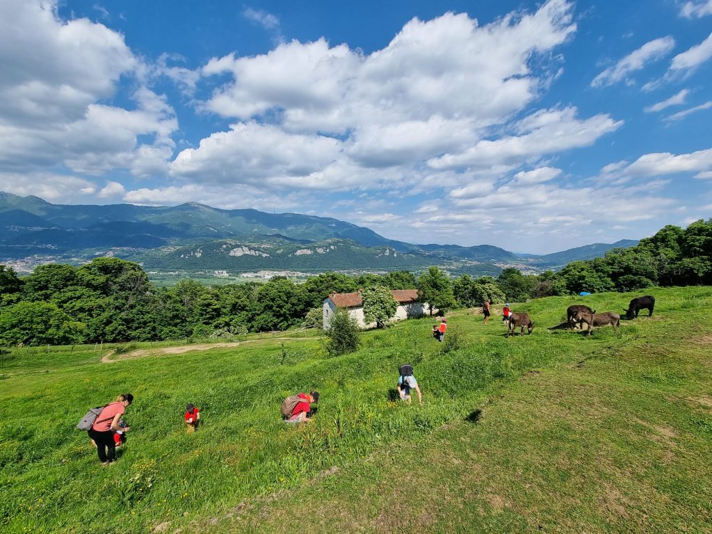 Scopri di più sull'articolo Appello di Gerolamo Fontana UILDM Lecco a sostegno di Cascina Rapello