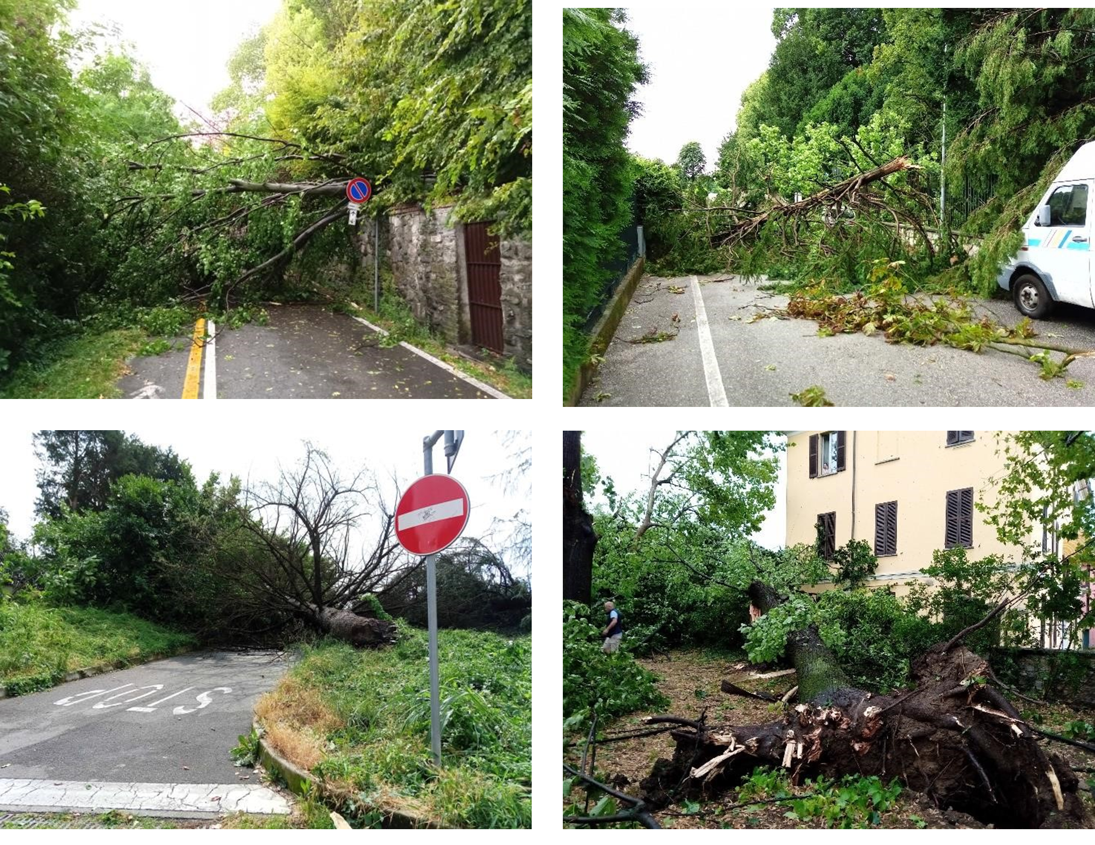Scopri di più sull'articolo ALZATE BRIANZA: L’ALLUVIONE IMPROVVISO NON HA RISPARMIATO IL COMUNE E IL PARCO