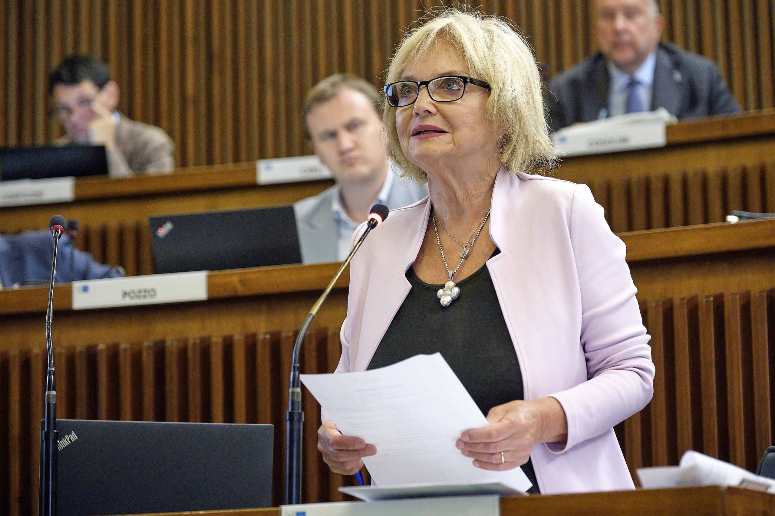 Scopri di più sull'articolo MONFALCONE: ISLAM – FASIOLO (PD) “FLASH MOB, DIALOGO AL POSTO DI INUTILI DIVIETI”