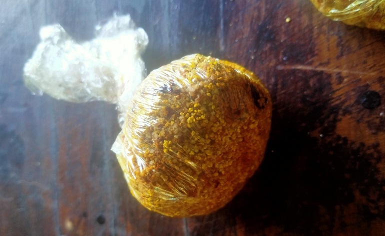 Scopri di più sull'articolo BELLAGIO: ALLARME BOCCONI AVVELENATI O SEMPLICI SCHERZI DA IDIOTI?