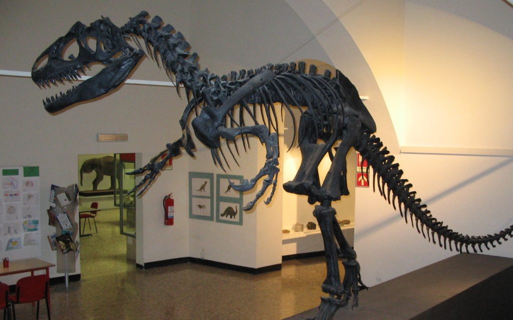 Scopri di più sull'articolo Eudimorphodon ranzii: 50 anni dalla scoperta del primo Pterosauro triassico