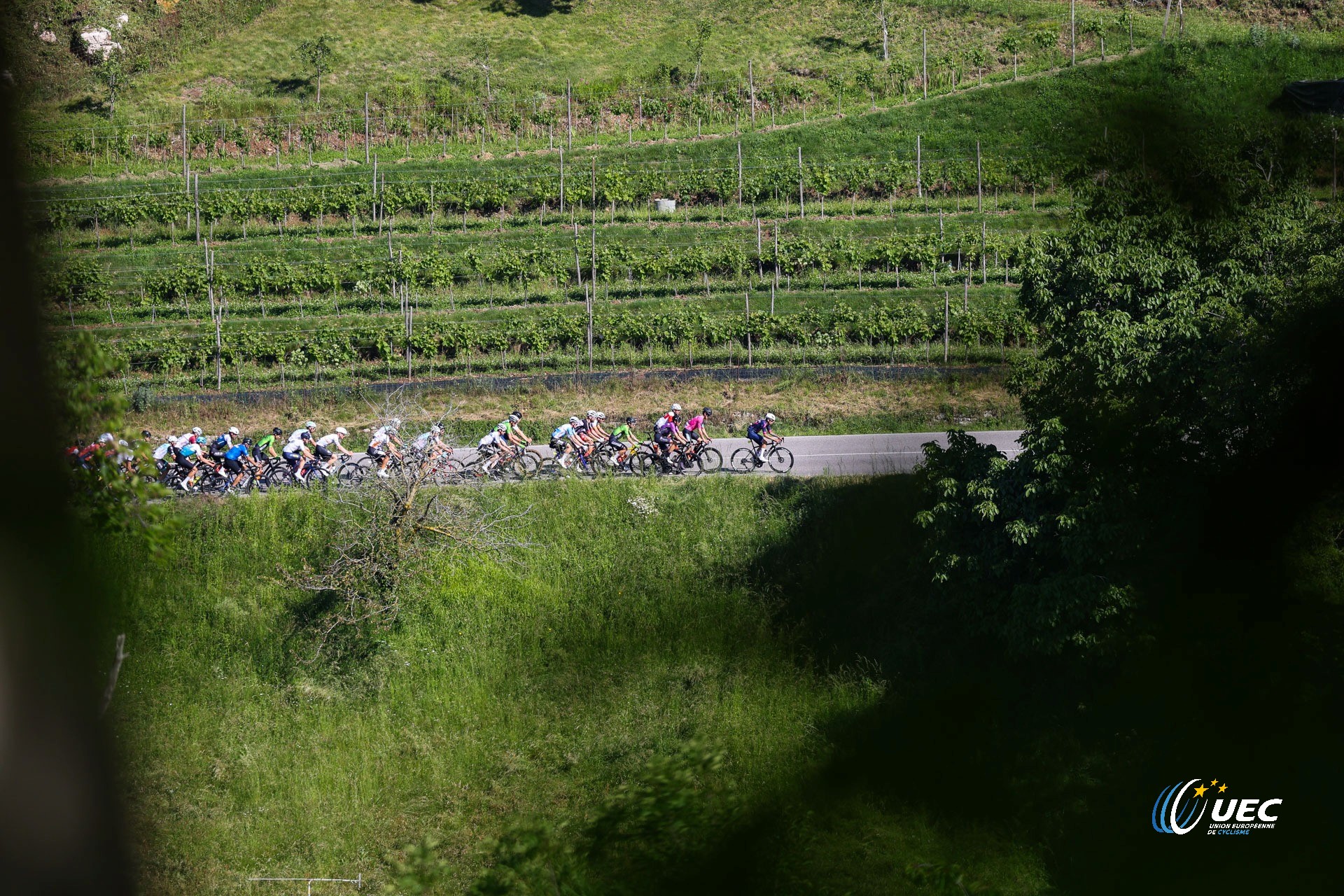 Scopri di più sull'articolo CAMPIONATI EUROPEI GRANFONDO 2024 E 2025: APPUNTAMENTO IN FRANCIA A L’ARDÉCHOISE