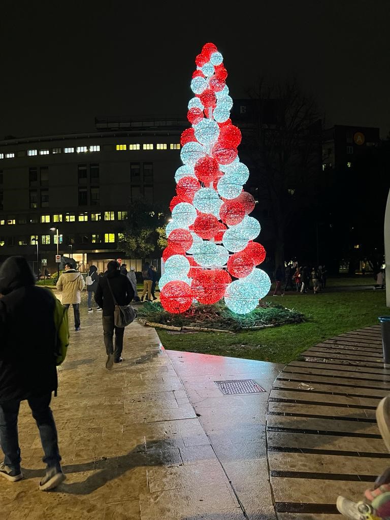 Scopri di più sull'articolo MILANO: ACCENSIONE ALBERO DI NATALE PRESSO OSPEDALE SAN  RAFFAELE E CONCERTO MR RAIN