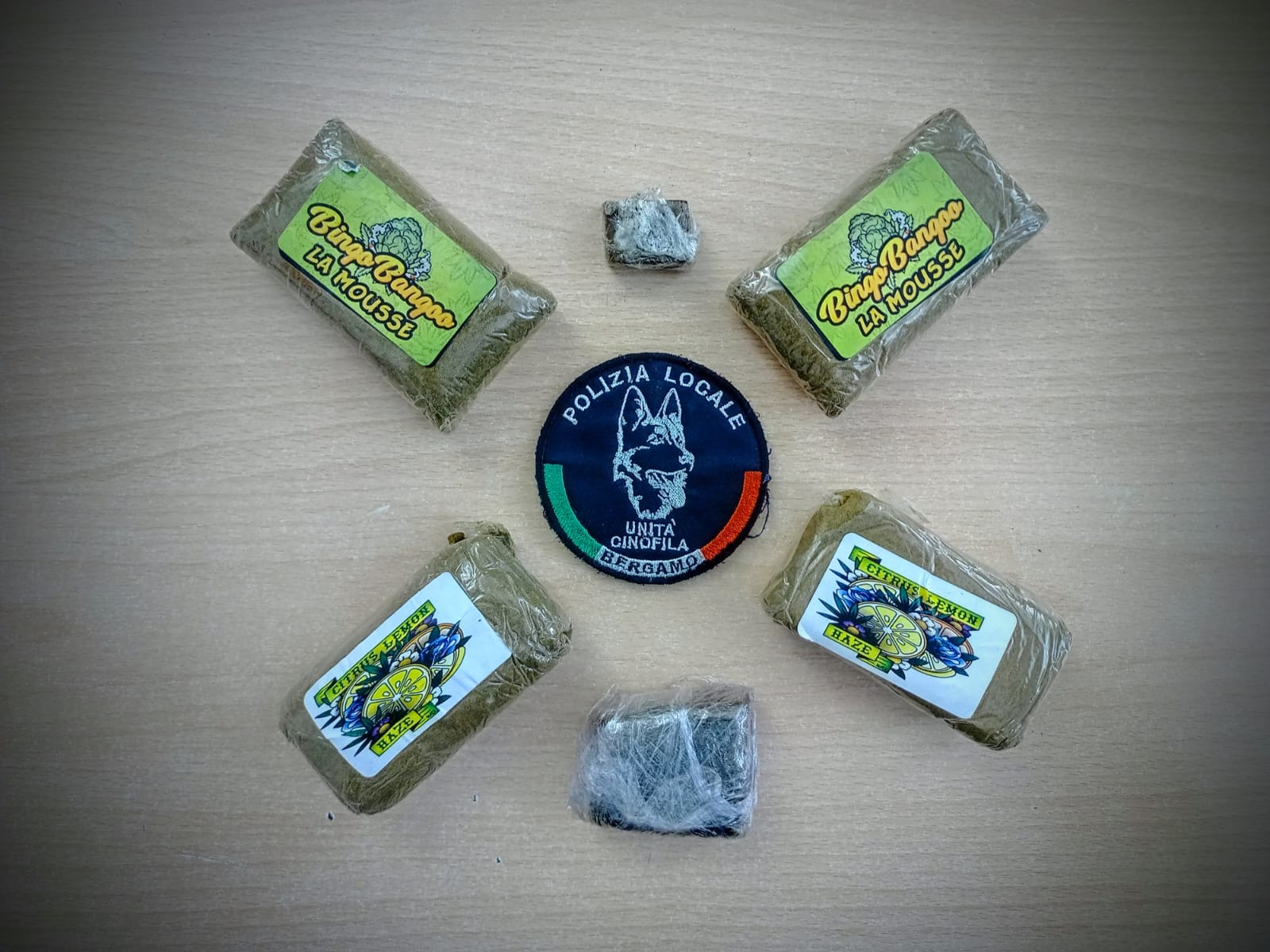 Scopri di più sull'articolo Bergamo: Spaccio di sostanze stupefacenti, controlli a tappeto con le unità cinofile