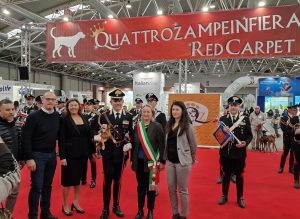 Scopri di più sull'articolo  Roma: “ROMA CAPITALE A QUATTROZAMPEINFIERA PER PROMUOVERE ADOZIONI RESPONSABILI”