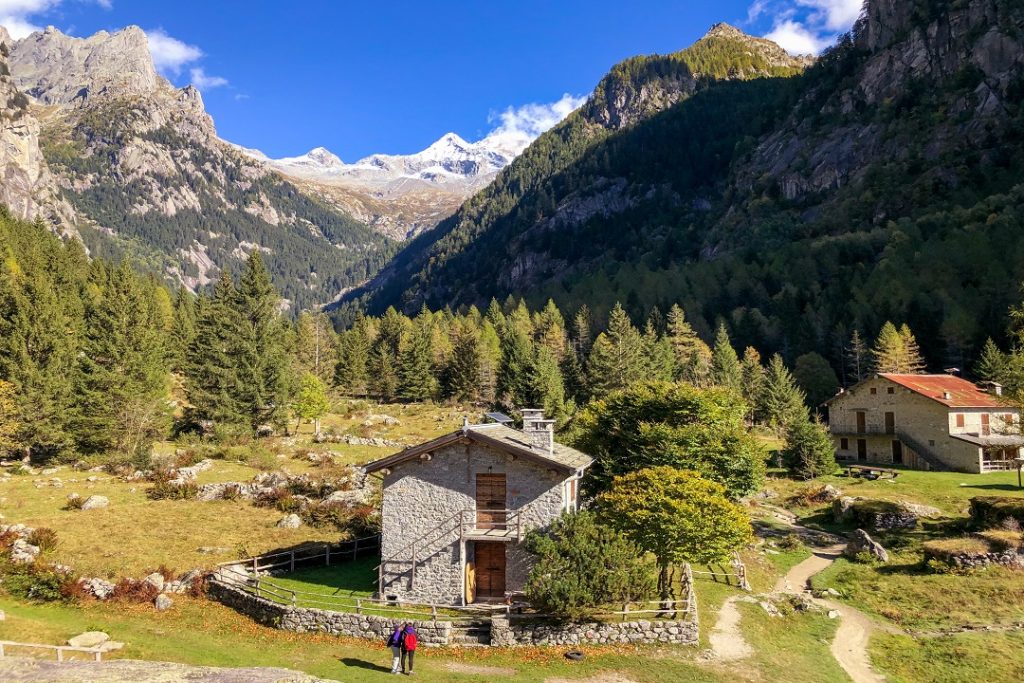 Scopri di più sull'articolo AGRICOLTURA: L’assessore Badeschi (regione Lombardia) legge su ripristino natura è inaccettabile
