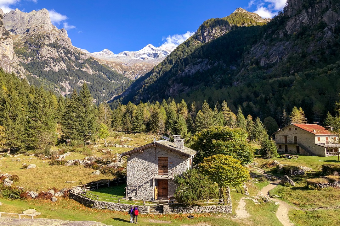 Al momento stai visualizzando AGRICOLTURA: L’assessore Badeschi (regione Lombardia) legge su ripristino natura è inaccettabile