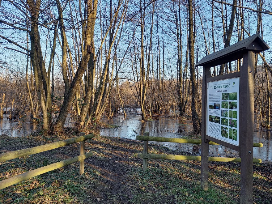 Al momento stai visualizzando ALZATE BRIANZA: GIORNATA MONDIALE DELLE ZONE UMIDE “ZOC DEL PERIC” CON OLTRE 100 SPECIE DI UCCELLI