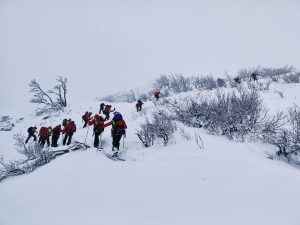 Scopri di più sull'articolo VAL DI NON: INCIDENTE NEI BOSCHI DI DAMBEL UOMO COLPITO DA UNA PIANTA
