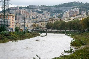 Scopri di più sull'articolo GENOVA: INTERVENTO DELLA POLIZIA LOCALE CON UN ARRESTO E OBBLIGO DI FIRMA