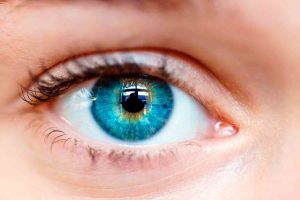 Scopri di più sull'articolo VERONA: L’OTTICO FURBINO CHE NON PAGA AFFITTI E FORNITORI, PAGA PANTALONE MA FINO A QUANDO?