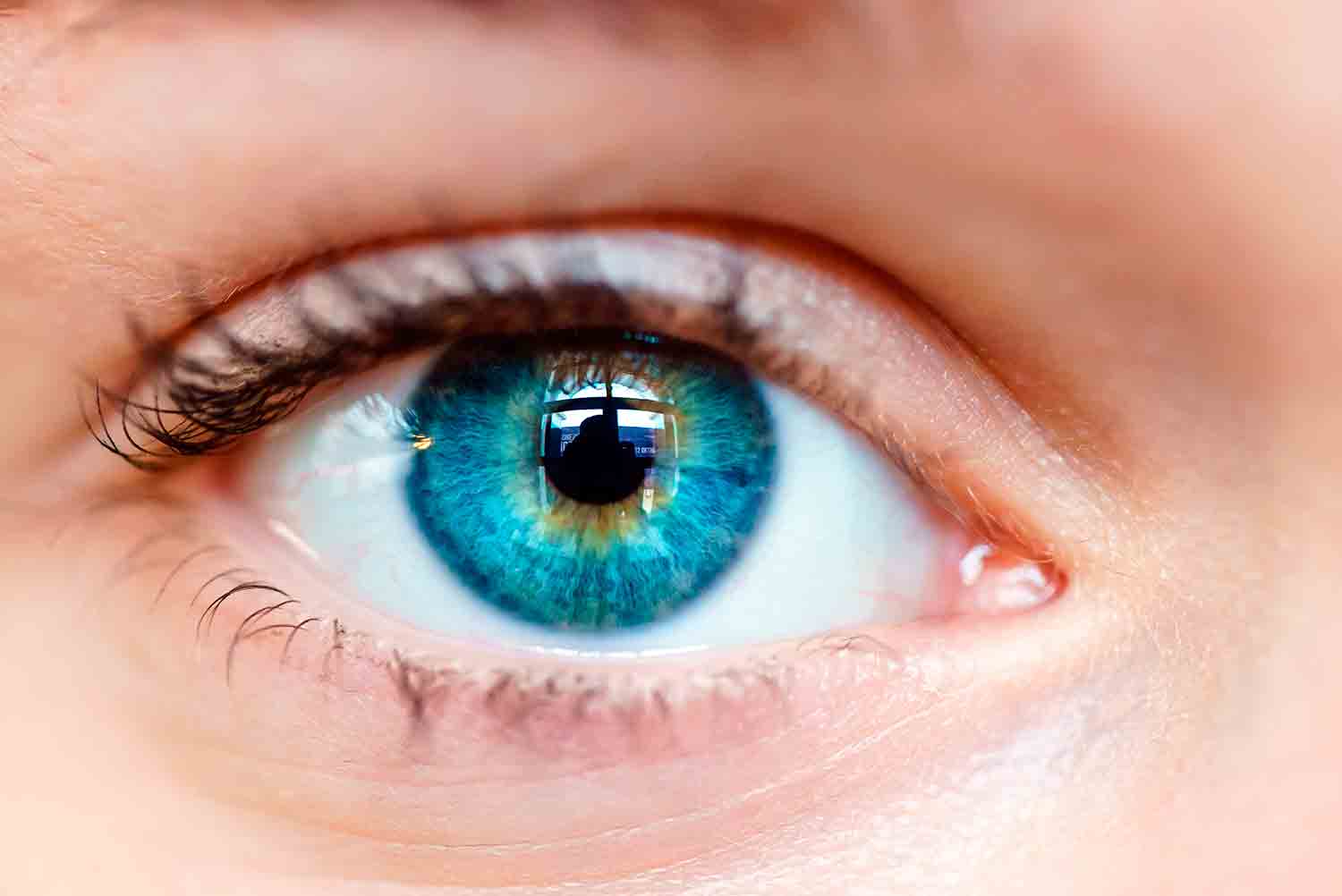 Scopri di più sull'articolo VERONA: L’OTTICO FURBINO CHE NON PAGA AFFITTI E FORNITORI, PAGA PANTALONE MA FINO A QUANDO?