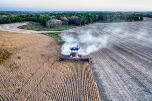 Scopri di più sull'articolo Mutui bancari, appello di Sammartino: «Una moratoria per il settore agricolo»