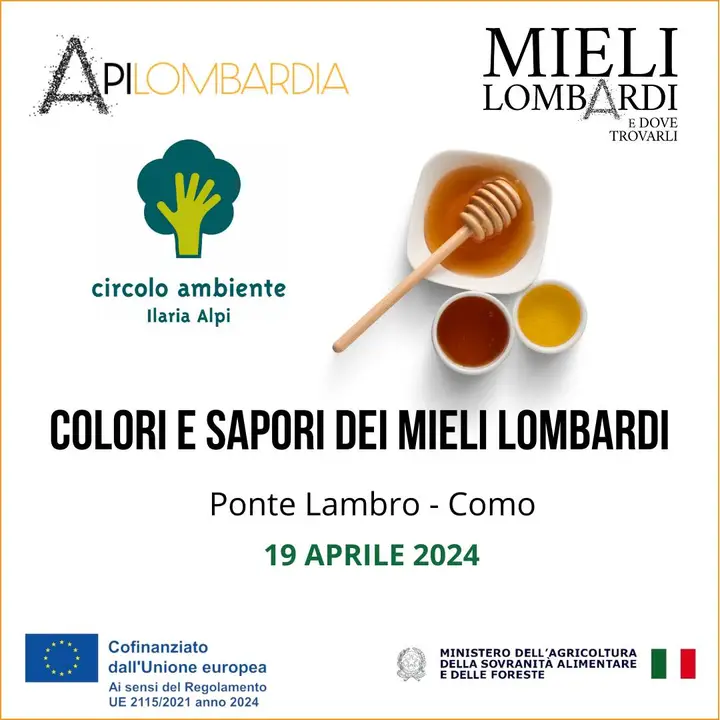 Al momento stai visualizzando PONTELAMBRO: “I colori e i sapori dei Mieli Lombardi”